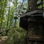 Parc accrobranche aventure Vizzavona : ligne de vie ZAZA, harnais et câble acier