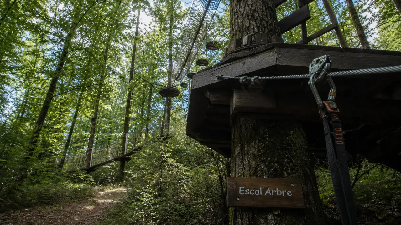 Parc accrobranche aventure Vizzavona : ligne de vie ZAZA, harnais et câble acier