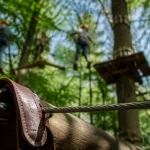Accrobranche parc phoenix : harnais enfant sur parcours suspendu