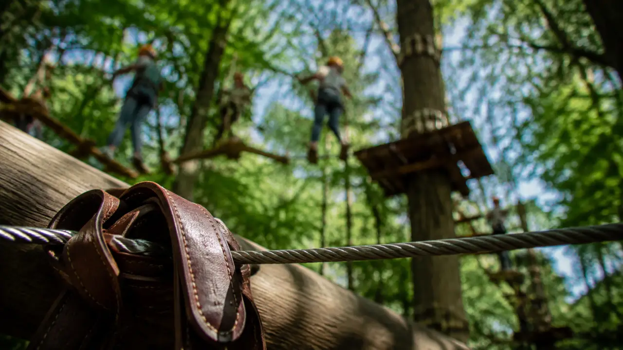 Accrobranche parc phoenix : harnais enfant sur parcours suspendu
