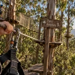 Parc aventure de Porto-Vecchio : harnais et corde sur un parcours accrobranche en forêt
