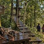 parc family aventure : enfants en accrobranche sur pont suspendu